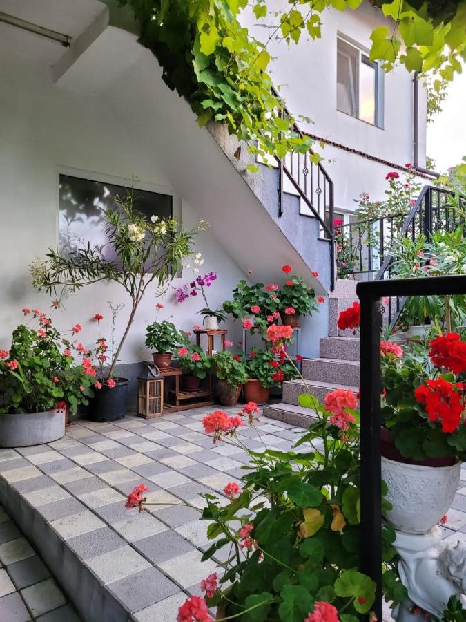 Vila Didi, Mangalia Zewnętrze zdjęcie